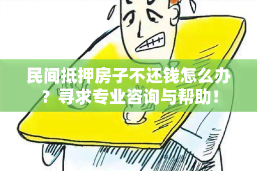 民间抵押房子不还钱怎么办？寻求专业咨询与帮助！