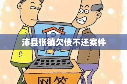 沛县张镇欠债不还案件