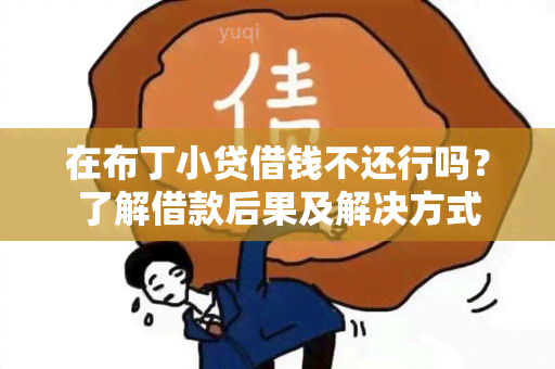 在布丁小贷借钱不还行吗？了解借款后果及解决方式