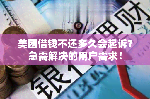 美团借钱不还多久会起诉？急需解决的用户需求！