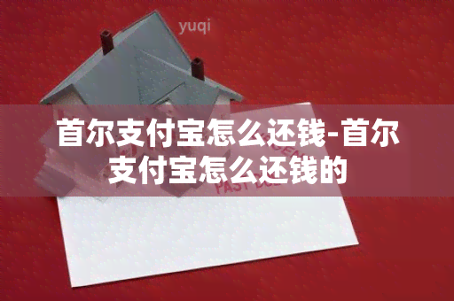 首尔支付宝怎么还钱-首尔支付宝怎么还钱的