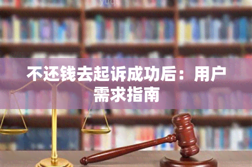 不还钱去起诉成功后：用户需求指南