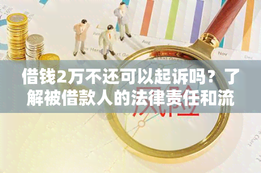 借钱2万不还可以起诉吗？了解被借款人的法律责任和流程