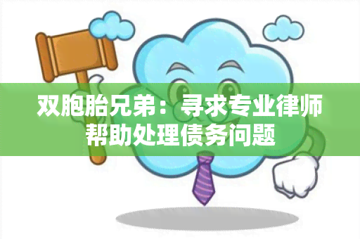 双胞胎兄弟：寻求专业律师帮助处理债务问题