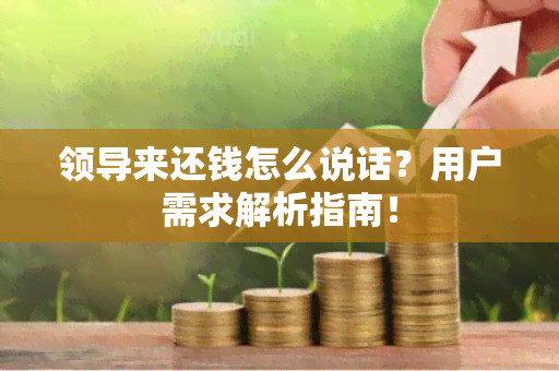 领导来还钱怎么说话？用户需求解析指南！