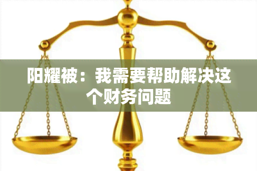 阳耀被：我需要帮助解决这个财务问题