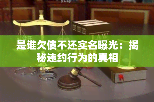 是谁欠债不还实名曝光：揭秘违约行为的真相