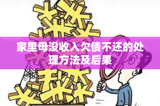 家里母没收入欠债不还的处理方法及后果