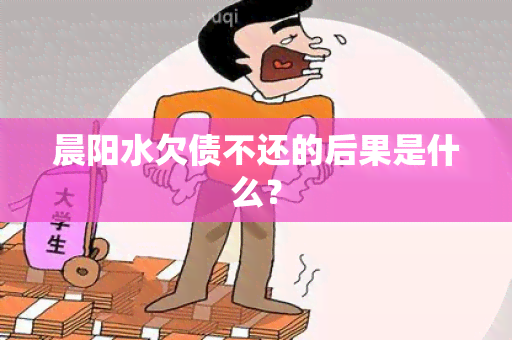 晨阳水欠债不还的后果是什么？