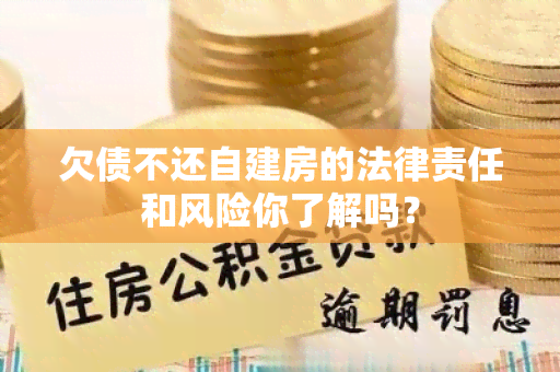 欠债不还自建房的法律责任和风险你了解吗？