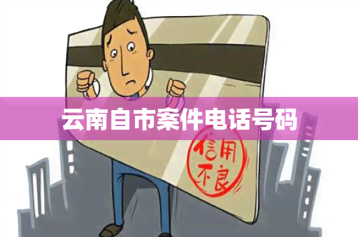 云南自市案件电话号码