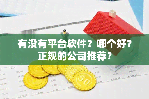 有没有平台软件？哪个好？正规的公司推荐？