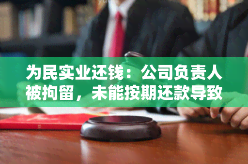 为民实业还钱：公司负责人被拘留，未能按期还款导致投资人 *** 