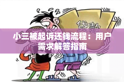 小三被起诉还钱流程：用户需求解答指南