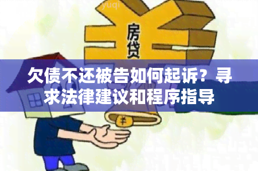 欠债不还被告如何起诉？寻求法律建议和程序指导