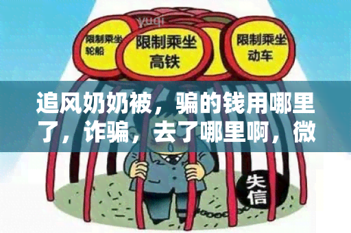 追风奶奶被，的钱用哪里了，诈，去了哪里啊，微电影