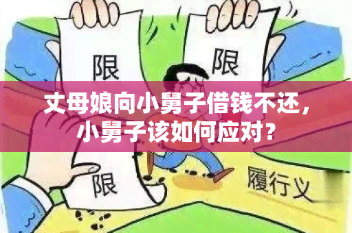 丈母娘向小舅子借钱不还，小舅子该如何应对？