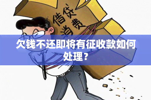 欠钱不还即将有征收款如何处理？