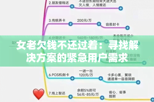 女老欠钱不还过着：寻找解决方案的紧急用户需求