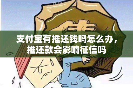 支付宝有推还钱吗怎么办，推还款会影响吗