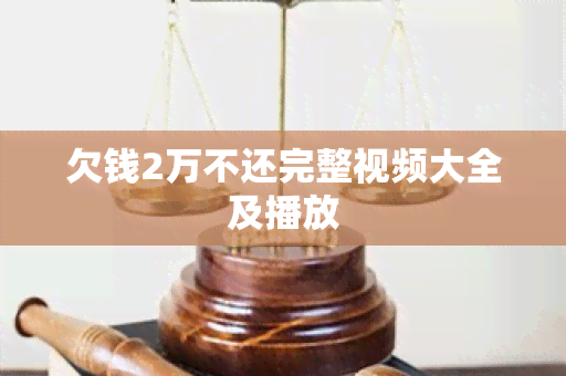 欠钱2万不还完整视频大全及播放