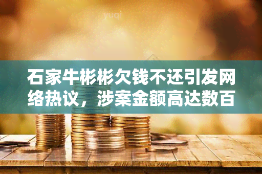 石家牛彬彬欠钱不还引发网络热议，涉案金额高达数百万元，警方已介入调查