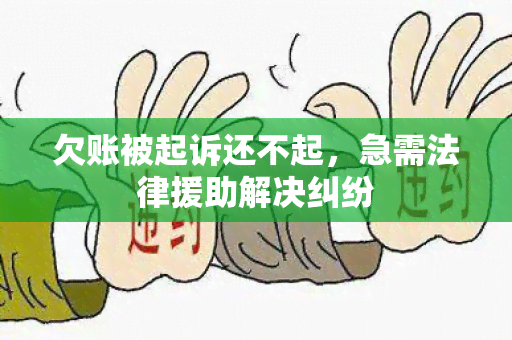 欠账被起诉还不起，急需法律援助解决纠纷