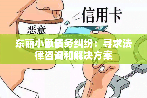 东丽小额债务纠纷：寻求法律咨询和解决方案