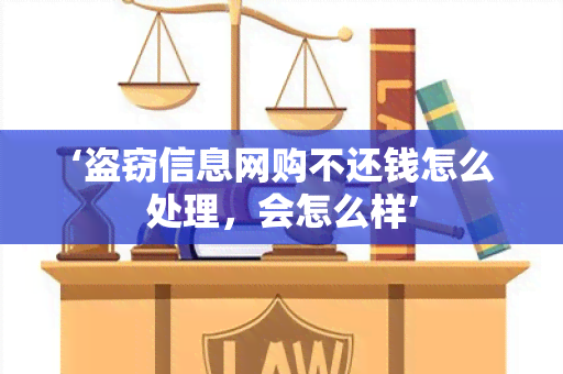 ‘盗窃信息网购不还钱怎么处理，会怎么样’