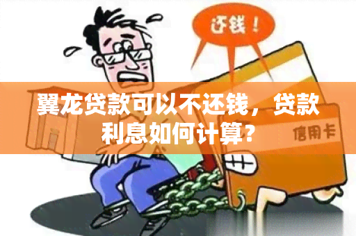 翼龙贷款可以不还钱，贷款利息如何计算？