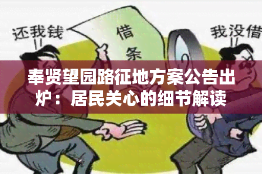 奉贤望园路征地方案公告出炉：居民关心的细节解读