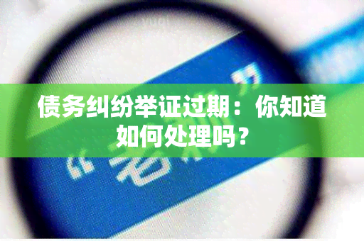 债务纠纷举证过期：你知道如何处理吗？