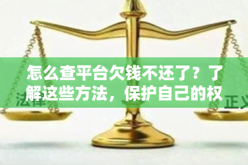 怎么查平台欠钱不还了？了解这些方法，保护自己的权益！