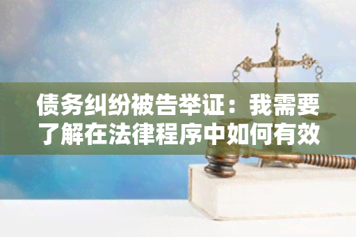 债务纠纷被告举证：我需要了解在法律程序中如何有效举证来辩护我的权益