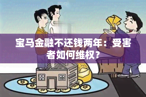 宝马金融不还钱两年：受害者如何 *** ？