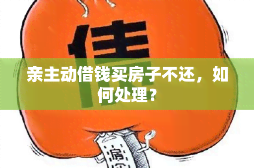 亲主动借钱买房子不还，如何处理？