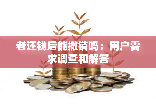 老还钱后能撤销吗：用户需求调查和解答