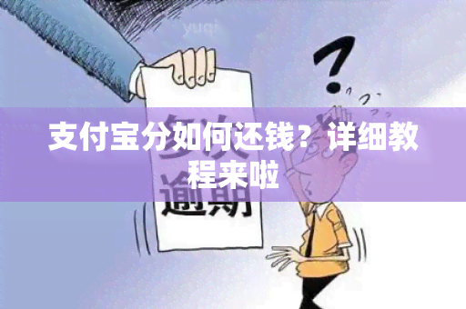 支付宝分如何还钱？详细教程来啦