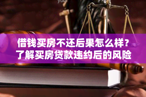 借钱买房不还后果怎么样？了解买房贷款违约后的风险