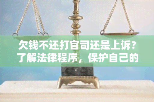 欠钱不还打官司还是上诉？了解法律程序，保护自己的权益！