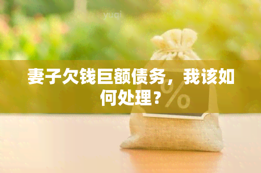 妻子欠钱巨额债务，我该如何处理？