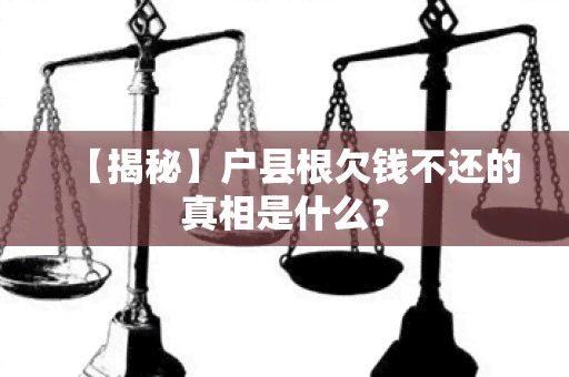 【揭秘】户县根欠钱不还的真相是什么？