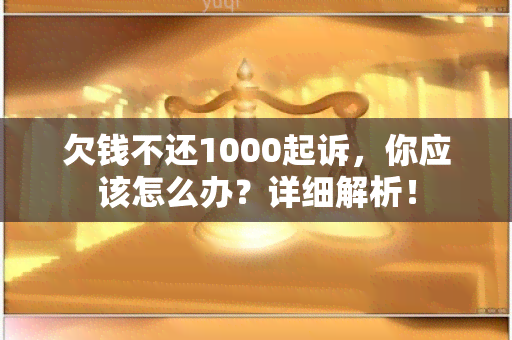 欠钱不还1000起诉，你应该怎么办？详细解析！