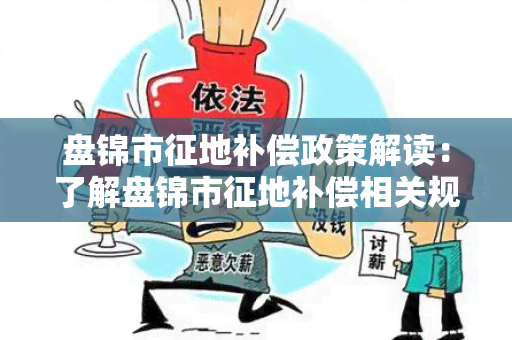 盘锦市征地补偿政策解读：了解盘锦市征地补偿相关规定和流程