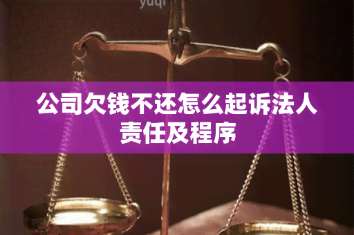 公司欠钱不还怎么起诉法人责任及程序