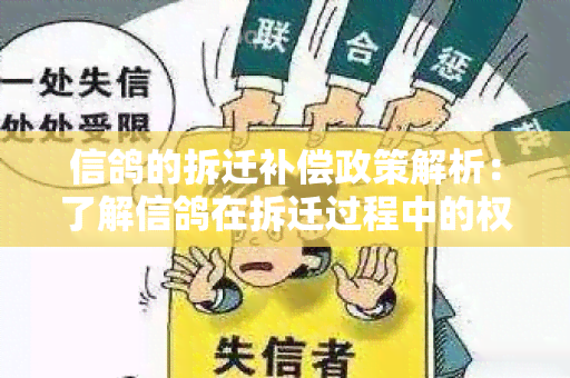 信鸽的拆迁补偿政策解析：了解信鸽在拆迁过程中的权益和补偿要求