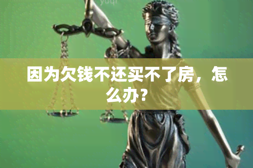 因为欠钱不还买不了房，怎么办？