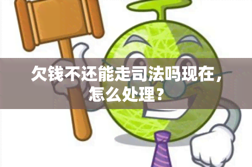 欠钱不还能走司法吗现在，怎么处理？