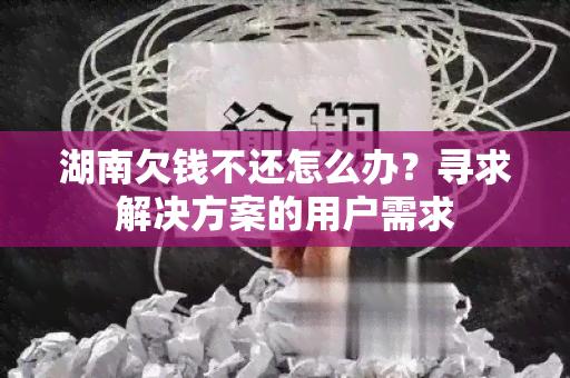 湖南欠钱不还怎么办？寻求解决方案的用户需求