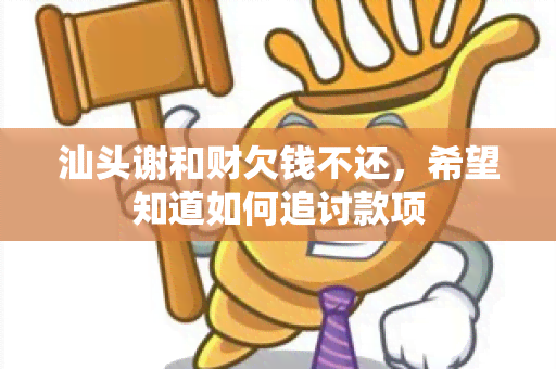 汕头谢和财欠钱不还，希望知道如何追讨款项